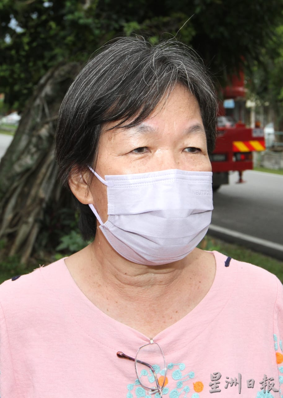 强风吹袭巴占百合花园 大树倒下压毁凉蓬篱笆