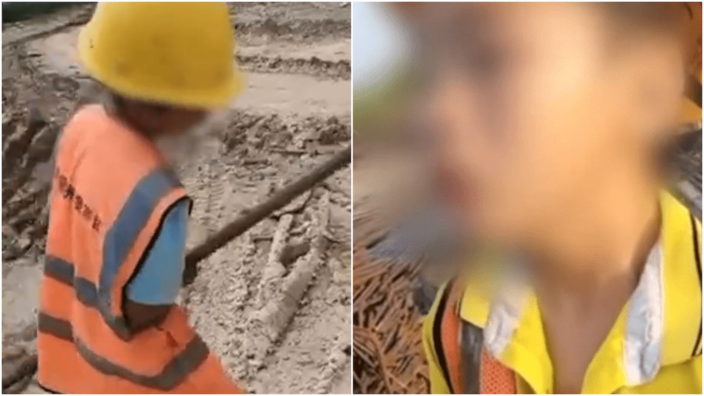 拚盘/深圳9岁仔厌学宁打工 被父带落地盘体验 一日半即回心转意