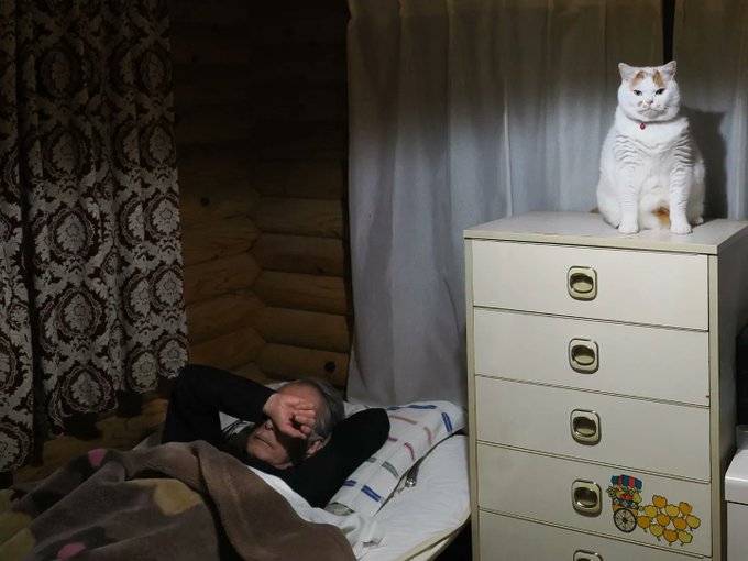 拼盘／老爸每晚“被鬼压床”全身痛！他“守夜抓魔神仔”傻眼：这只很肥