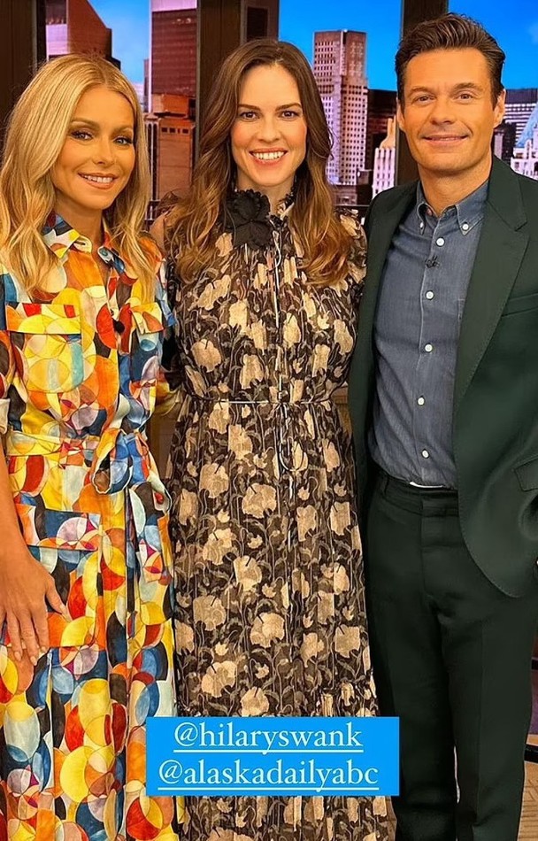 明年4月当妈妈  48岁希拉莉怀双胞胎