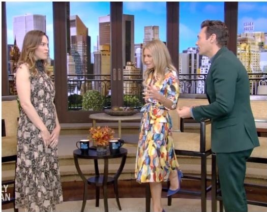 明年4月当妈妈  48岁希拉莉怀双胞胎