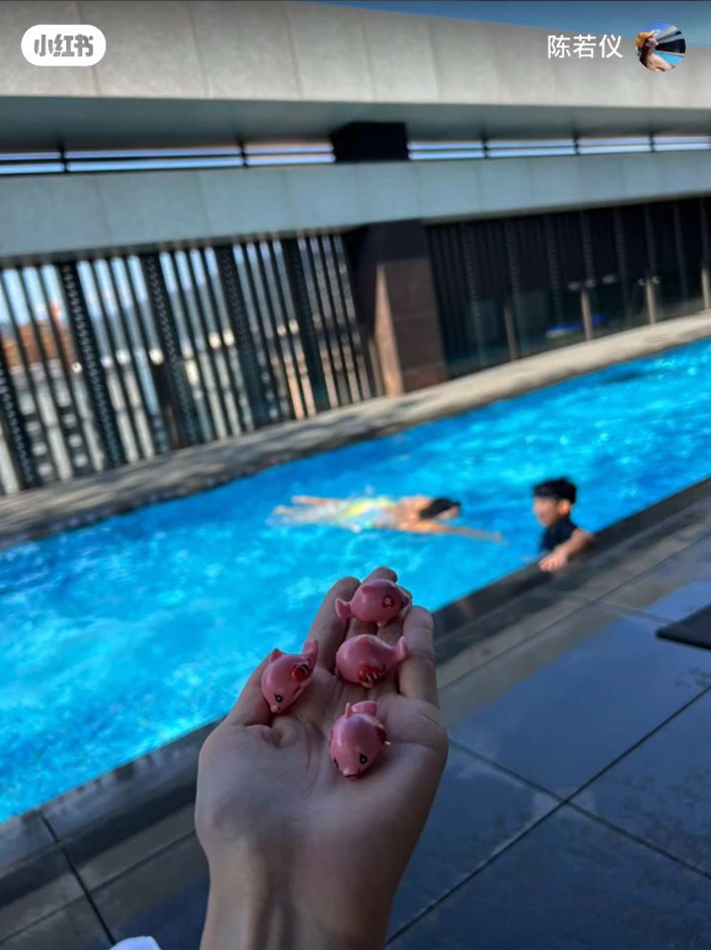 晒儿戏水惹怀第4胎揣测 陈若仪曝林志颖病况