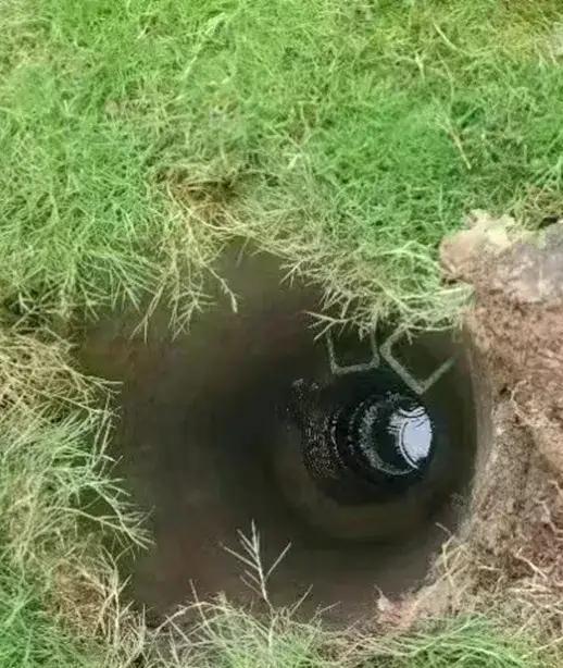 木板当井盖再铺草坪　小学生堕7米深井亡