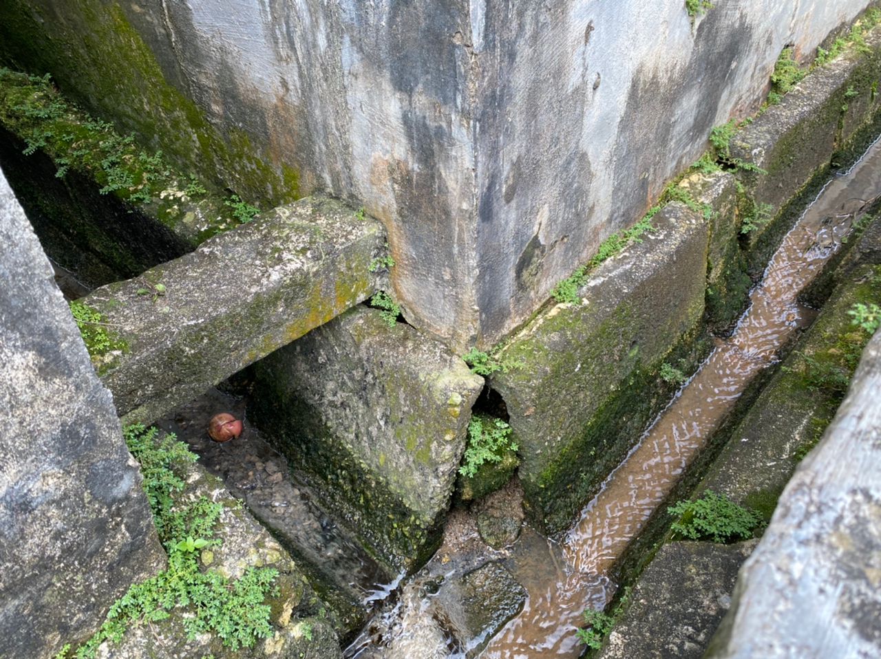 柔:【民生特工队】:焦点社区:柔佛再也花园峇卡哇里27及28路 入夜匪埋伏 转弯酿车祸 居民盼设路灯减罪案