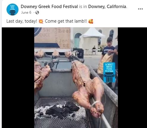 求真//烤人肉被突袭搜索?原来是美食节烤羊肉的画面