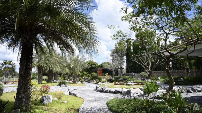 泰托儿所屠杀 | 好心男收留60名孩童·成功保护他们!