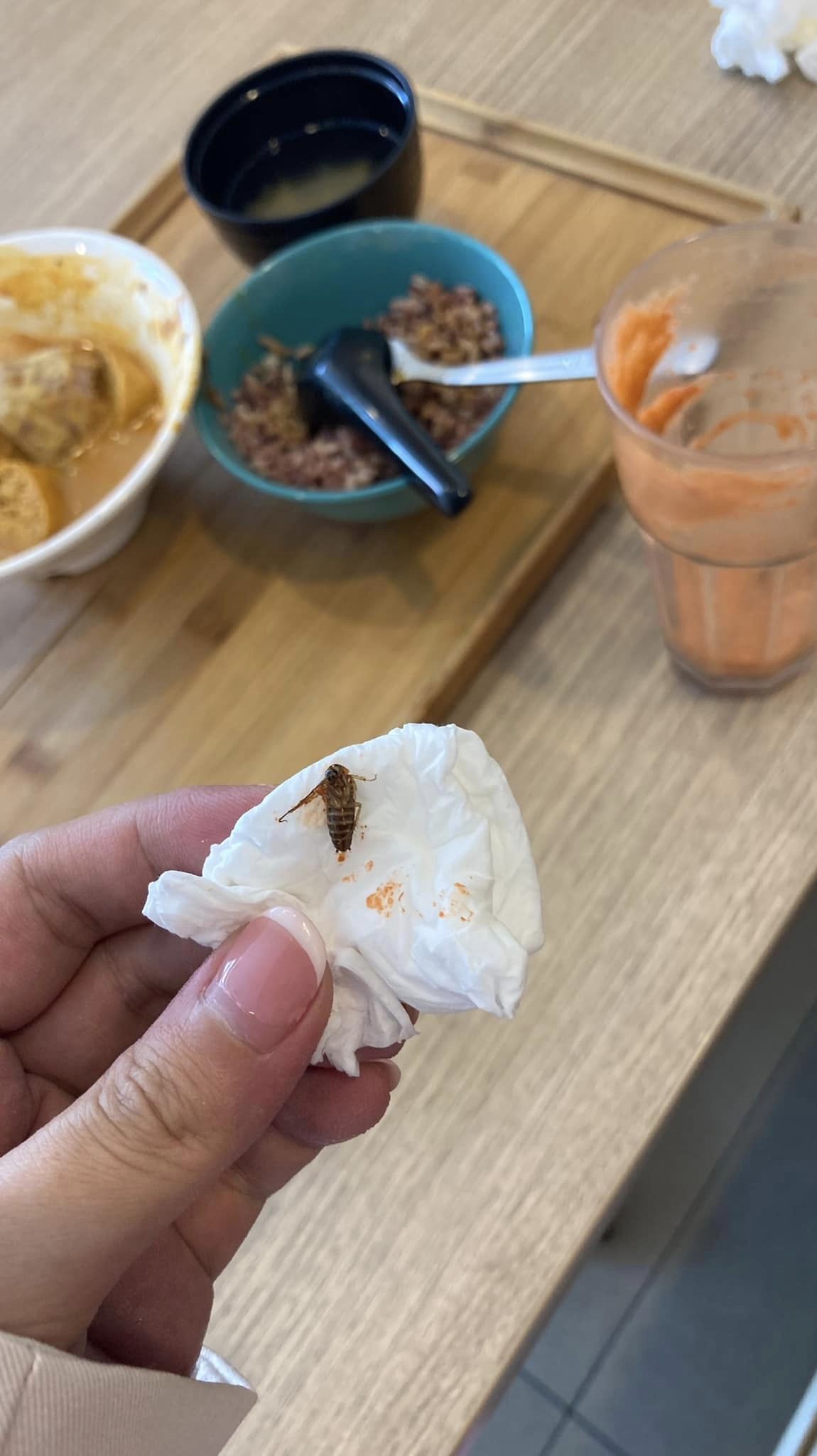 独家 | 怀胎7个月孕妇喝出蟑螂吐2次！店家：会杀虫不再重犯