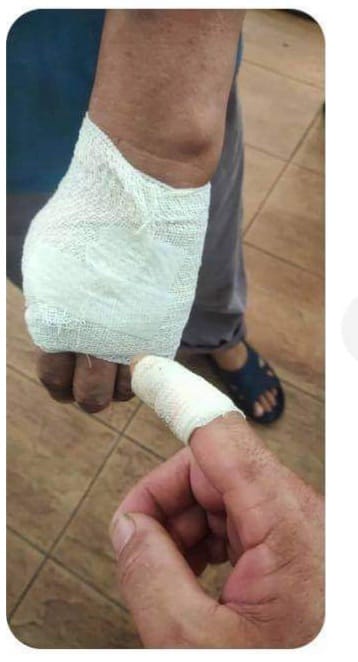 独家|哈士奇性格温和不乱咬人  训犬师：“焦虑才发动攻击”