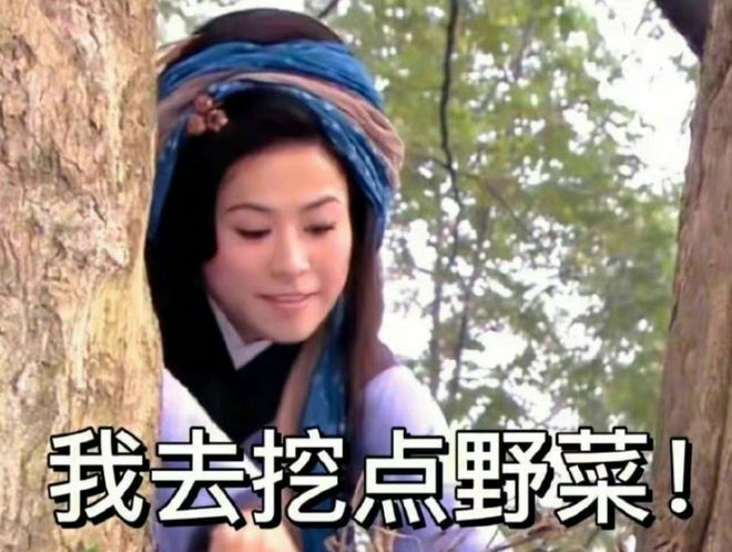 王宝钏挖野菜梗爆红   宣萱呼吁女孩子别迷失自我