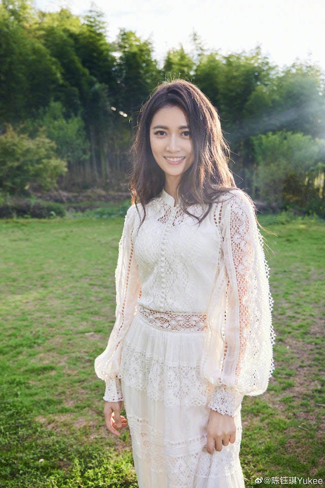 甄子丹被爆用替身  宇宙最强宝刀已老？