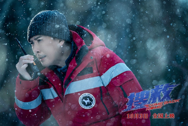 甄子丹转型失利  　全程挨打票房惨赔