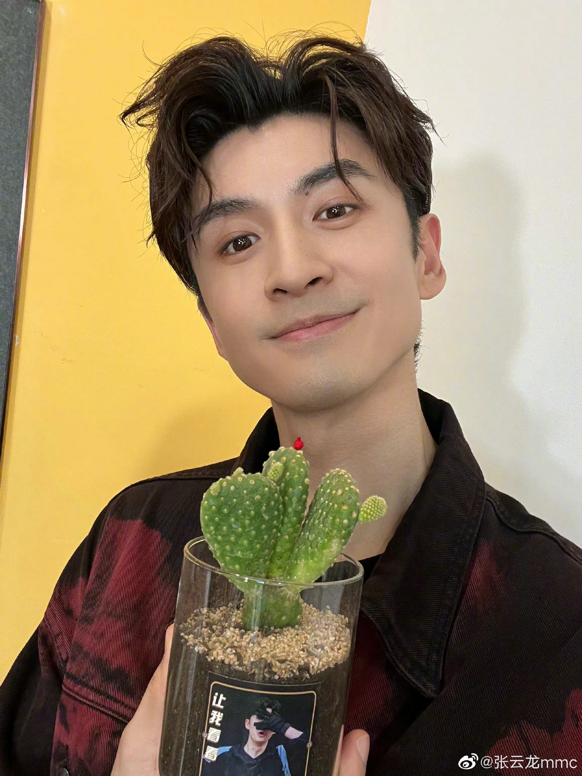 粉丝追星与保安爆冲突 张云龙挺身劝架网狂赞：有担当	