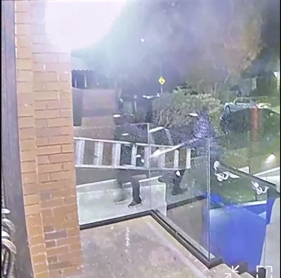 纽约3歹徒搬梯爬上楼 持枪洗劫华裔家庭