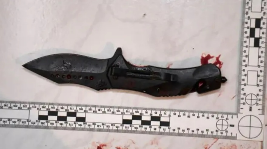 育儿问题引发惨案 儿女面前杀妻后自尽