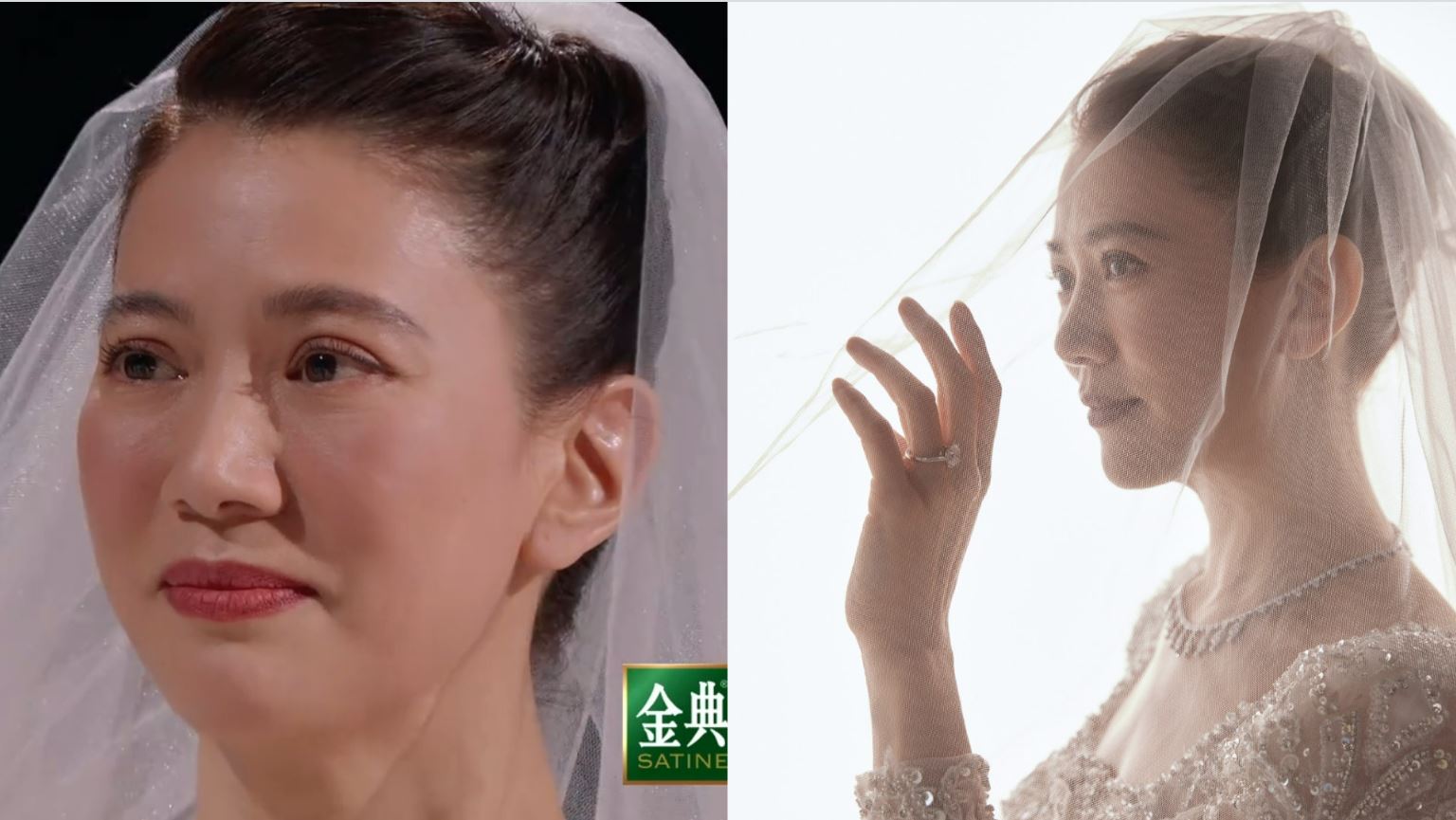 袁咏仪宣布关闭24年影迷会 网猜受“补办婚礼”被骂惨波及