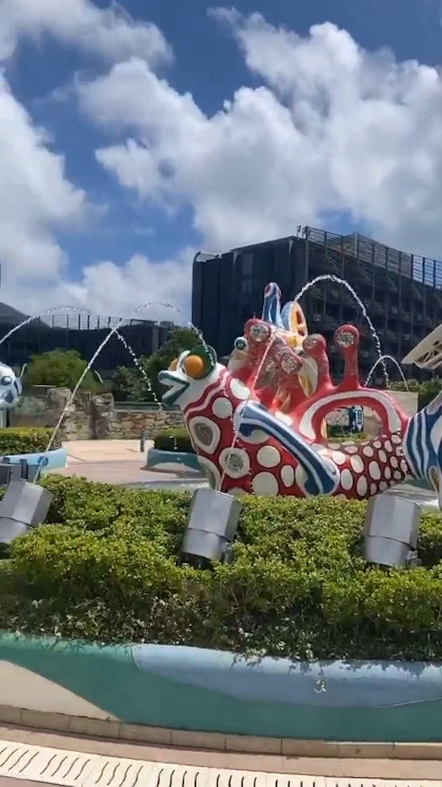 被曾志伟“一吻成名”  黎峇菈无损心情游海洋公园