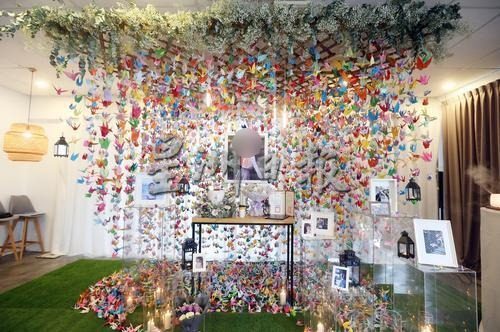 逾5000纸鹤陪伴紫萱