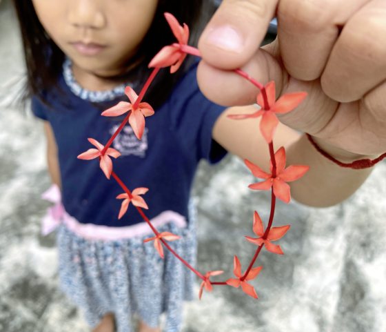 郑锦华／一花一世记