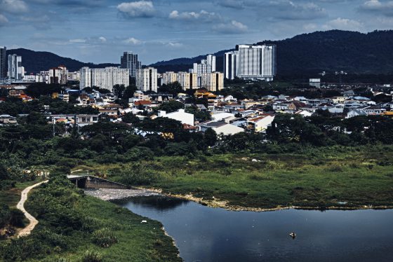 陈子韩/放牧人生