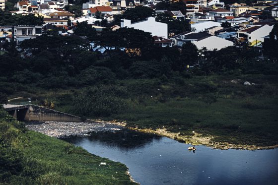 陈子韩/放牧人生