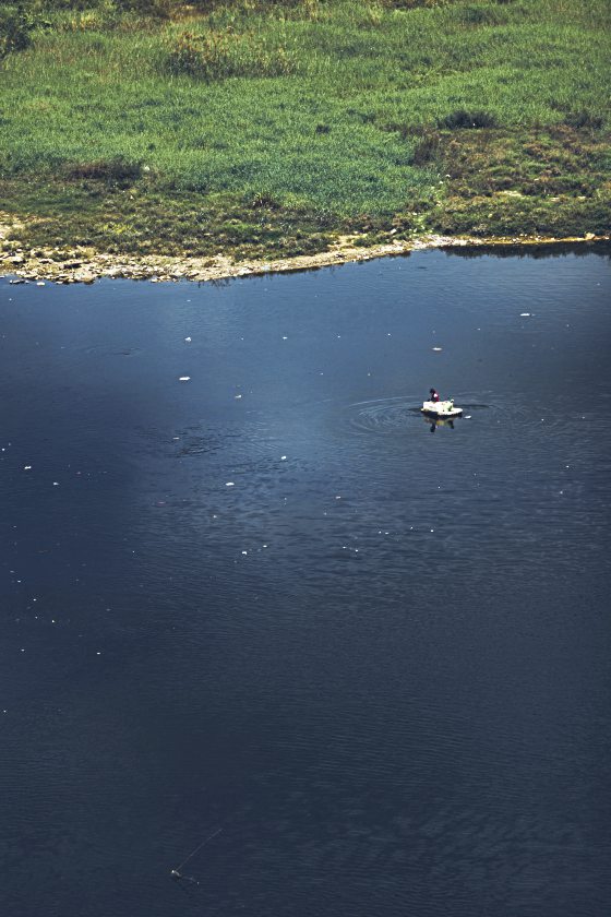 陈子韩/放牧人生