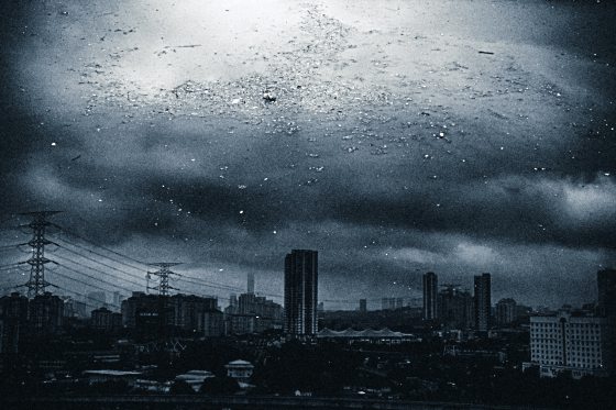 陈子韩/放牧人生