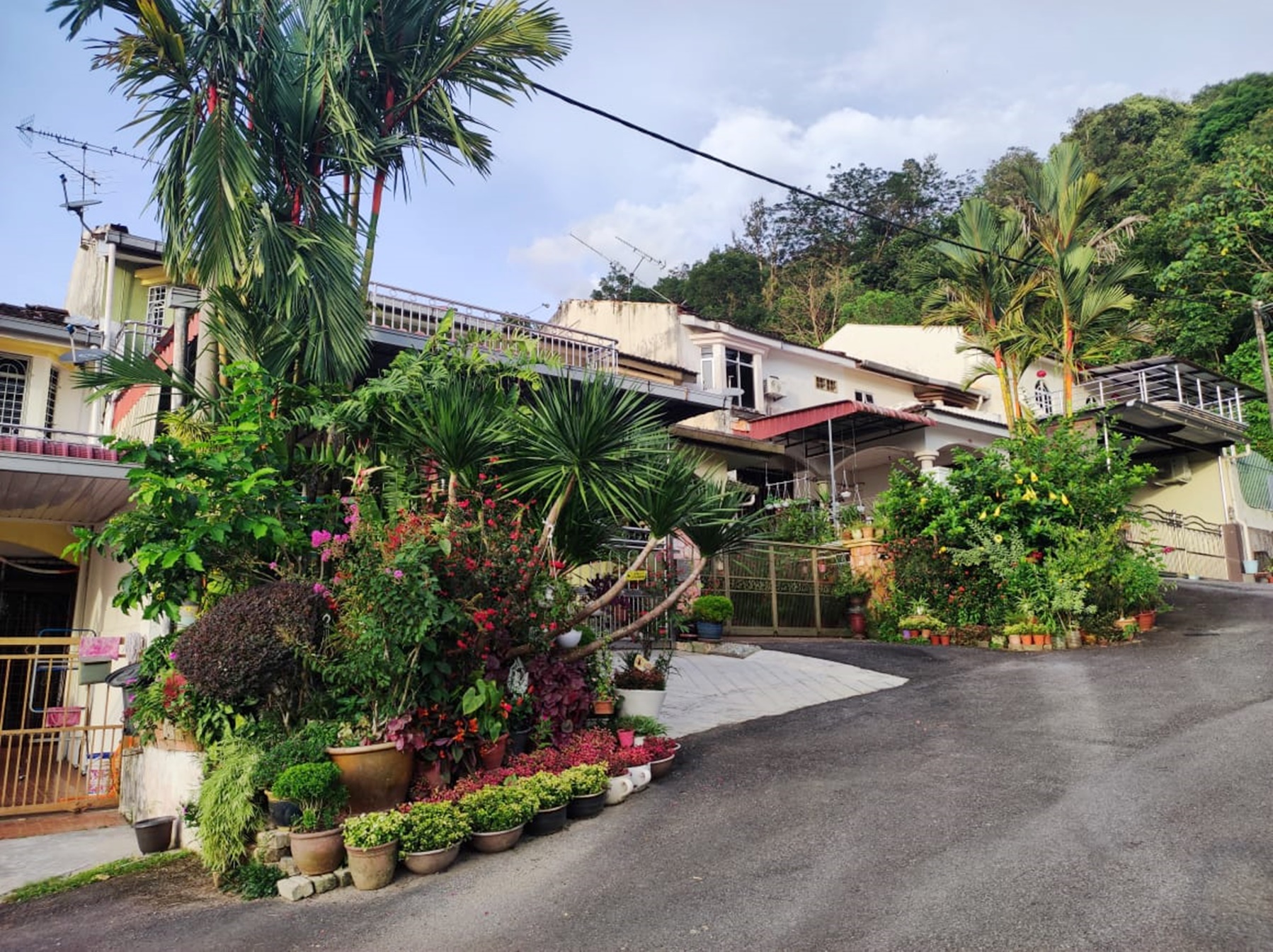 霹/太平市议会绿化景观赛私宅与政府部门类别截止展延