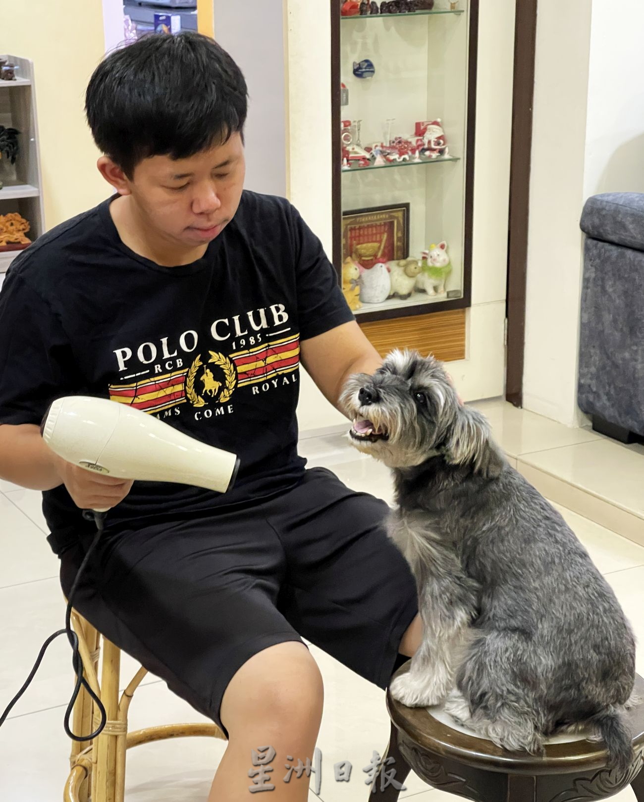 （古城封底主文）【带你去找爱】：男孩与雪纳瑞的爱