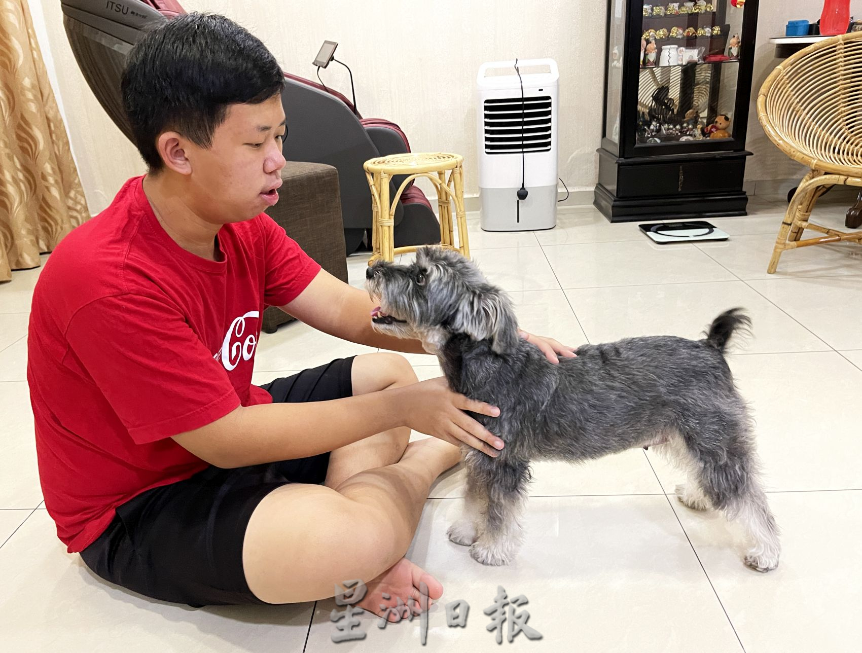 (古城封底主文)【带你去找爱】:男孩与雪纳瑞的爱