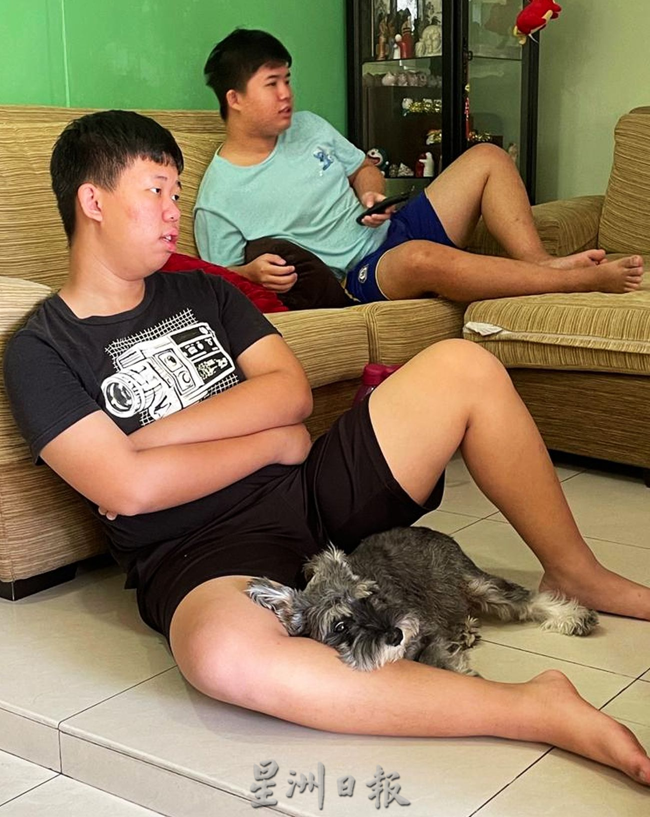 （古城封底主文）【带你去找爱】：男孩与雪纳瑞的爱
