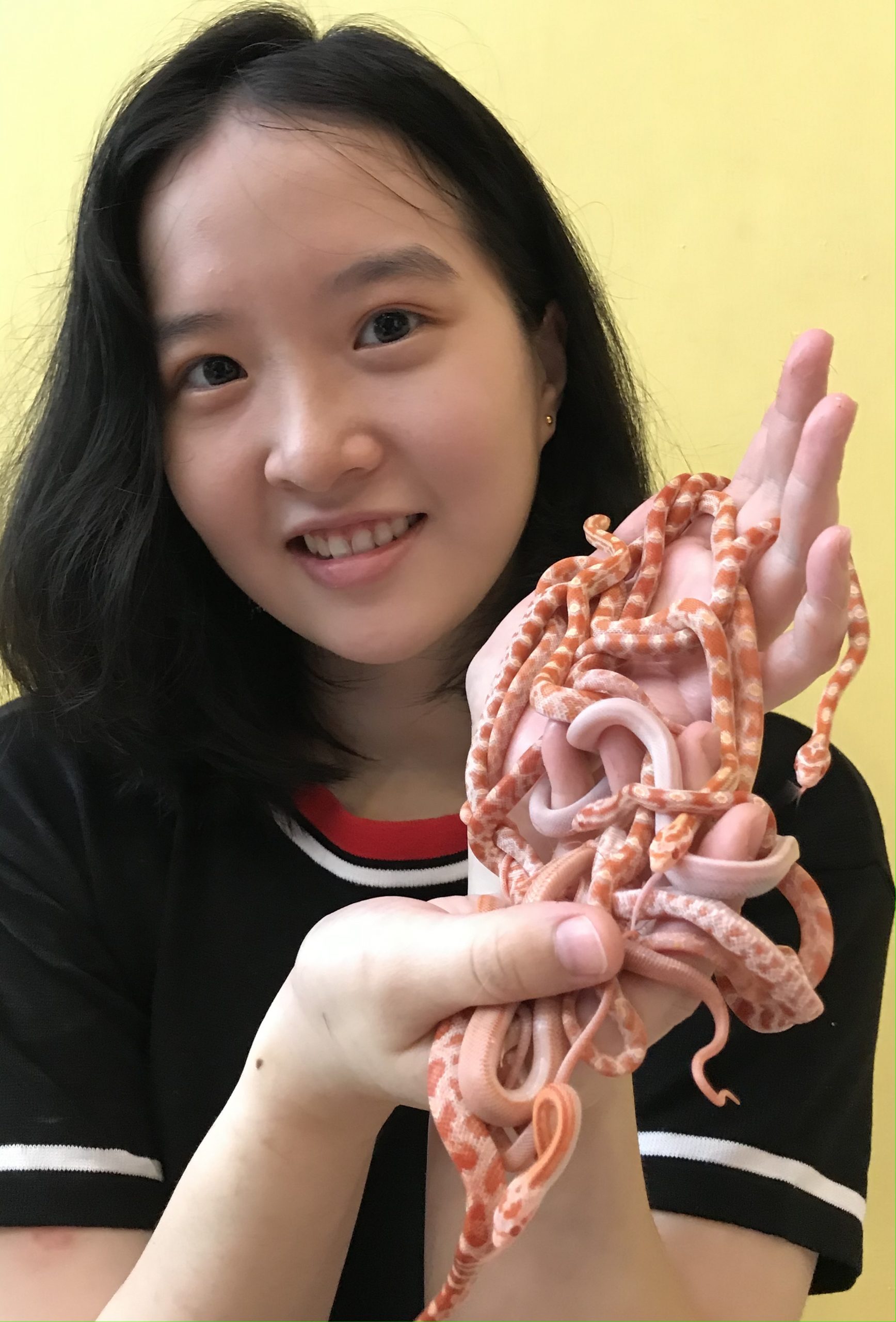 （古城封底主文）乐活-夫妻档靠“蝴蝶蛹”领养计划撑过行管令