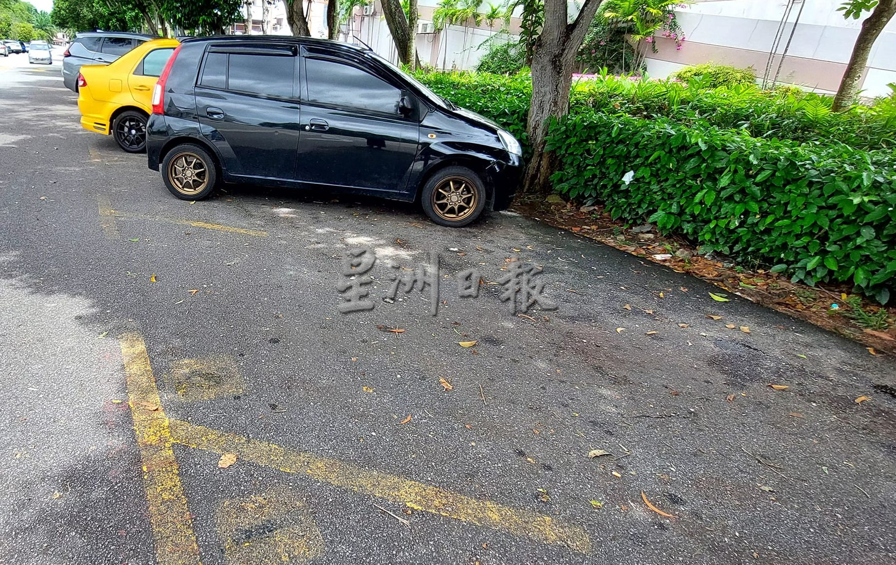 (古城封面主文)再迪阿丹:商四地方政府共用精明泊车手机应用程式