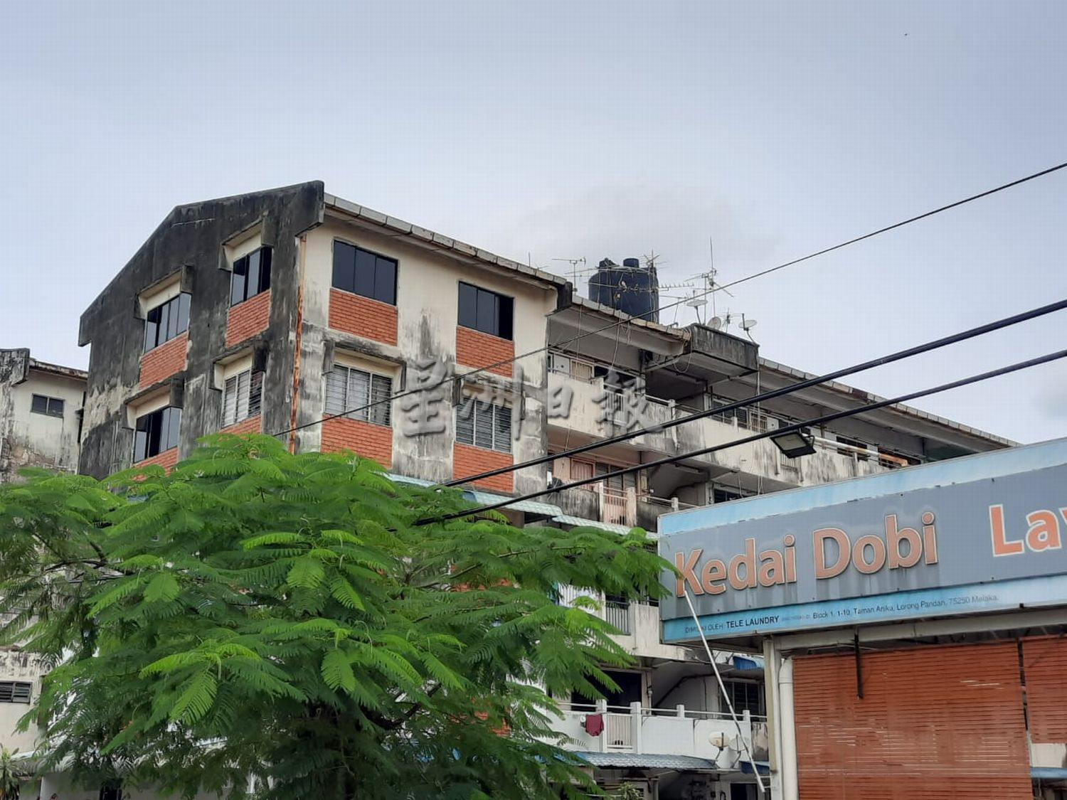 (古城版)刘志俍提醒选民投票日出来投票