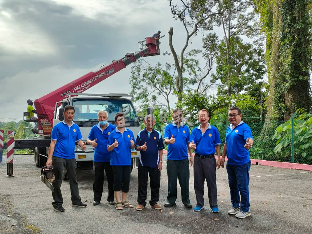 (古城版)育贤学校修树