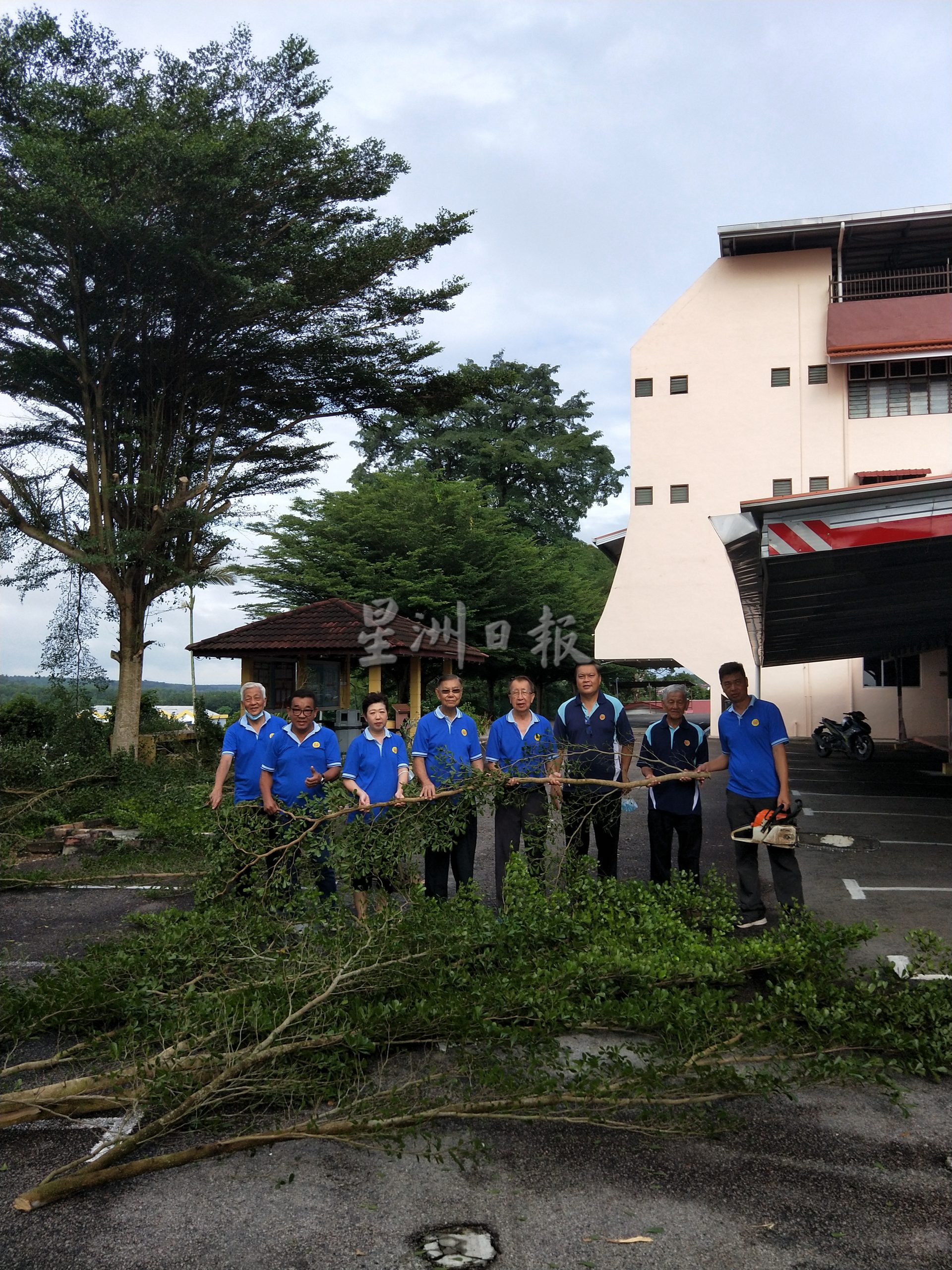 (古城版)育贤学校修树