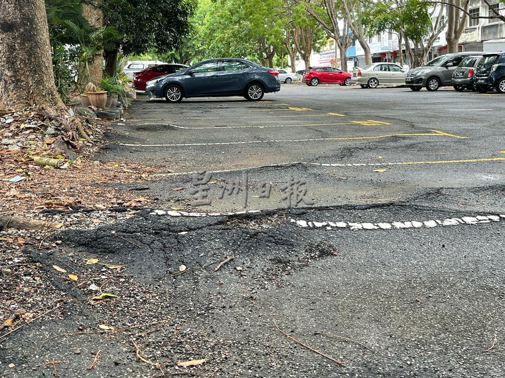 (古城第五版主文)【大选许愿池】:坑坑洼洼的路,投票前补补吧!