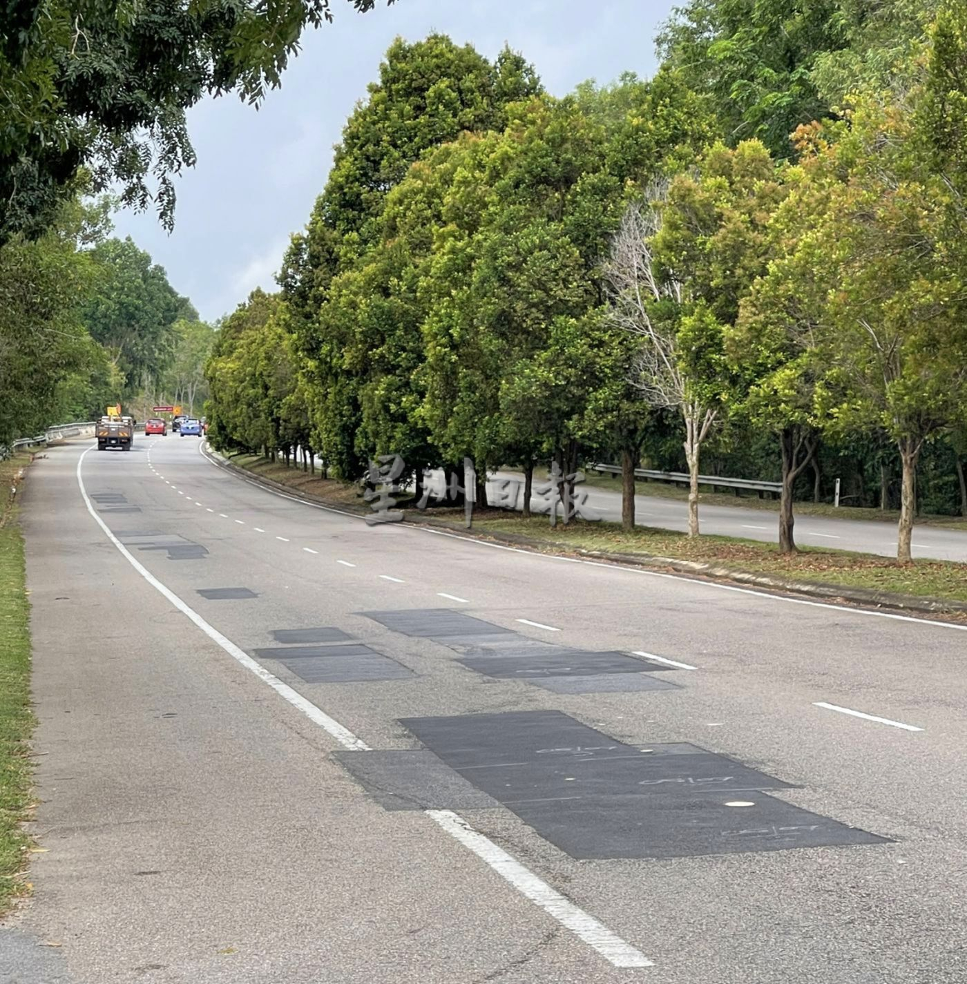 (古城第五版主文)【大选许愿池】:坑坑洼洼的路,投票前补补吧!