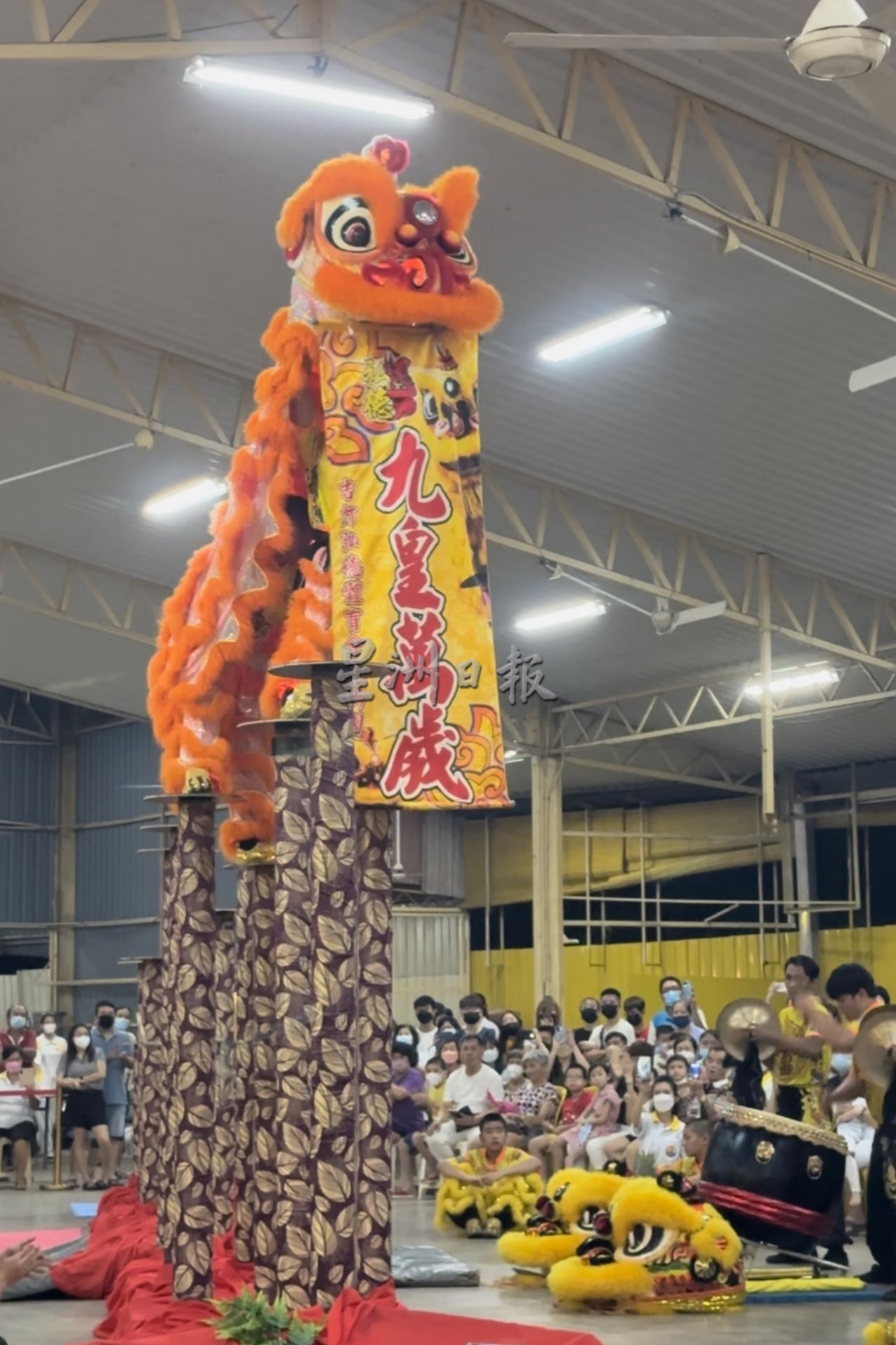 (大北马)大年斗母宫理事会特聘请吉打弘德体育会龙狮团来表演高庄舞狮