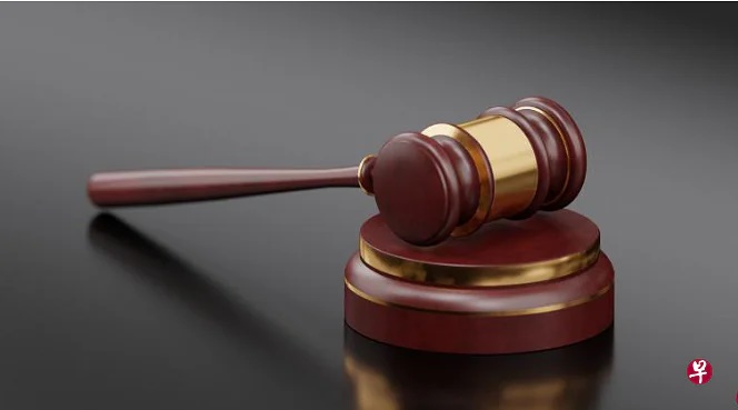 (已签发)柔:狮城二三事:父代无驾照女儿顶车祸罪 两人一起被控