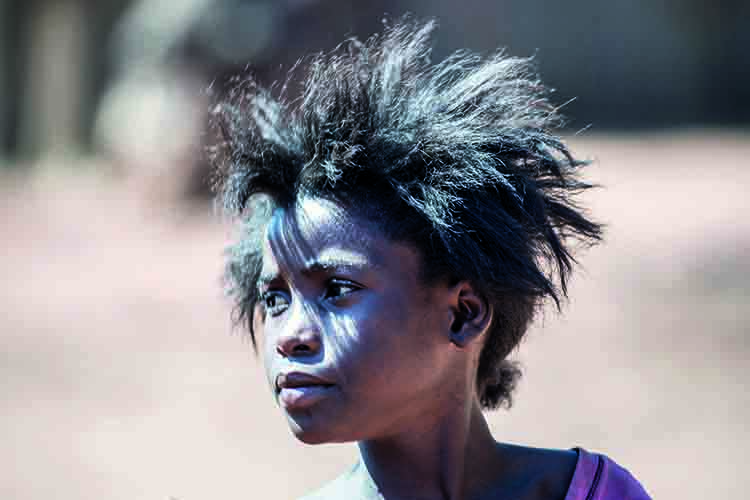 NS图探花城／黄思华非洲纪行：林深难觅阳关道，兽吼风咆任我行