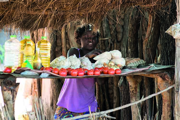 NS图探花城／黄思华非洲纪行：林深难觅阳关道，兽吼风咆任我行