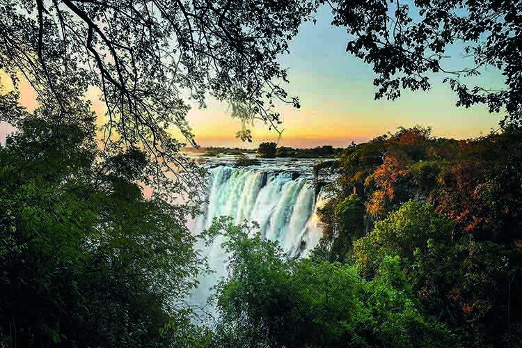 NS图探花城／黄思华非洲纪行：林深难觅阳关道，兽吼风咆任我行