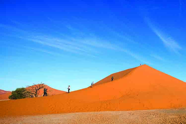 NS图探花城／黄思华非洲纪行：林深难觅阳关道，兽吼风咆任我行