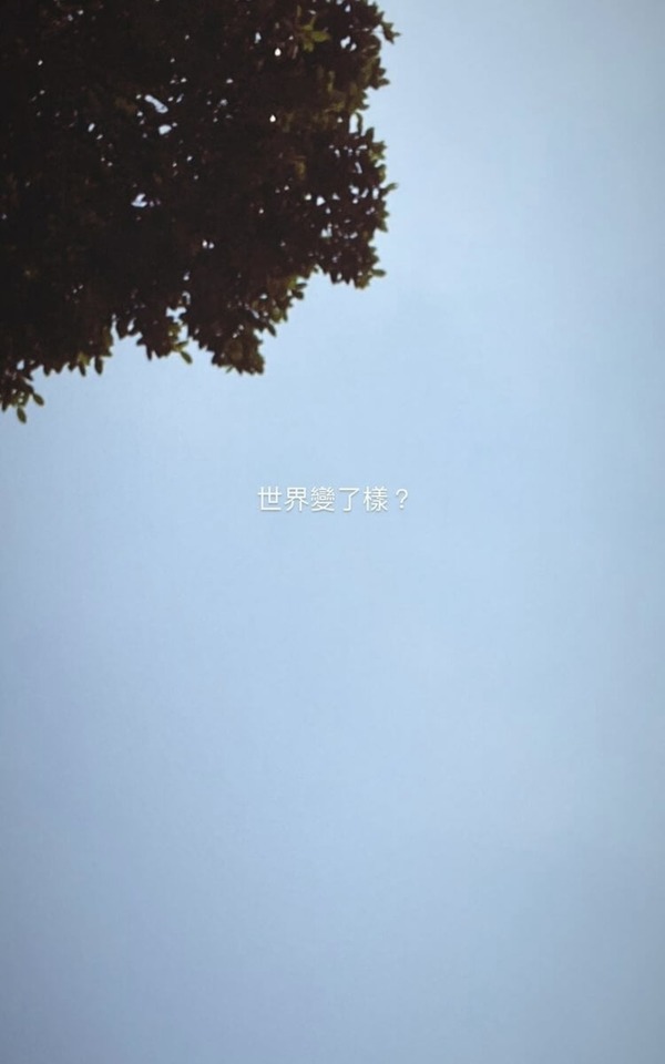 So Ching遭批放负能量 网力挺轰激进镜粉冷血