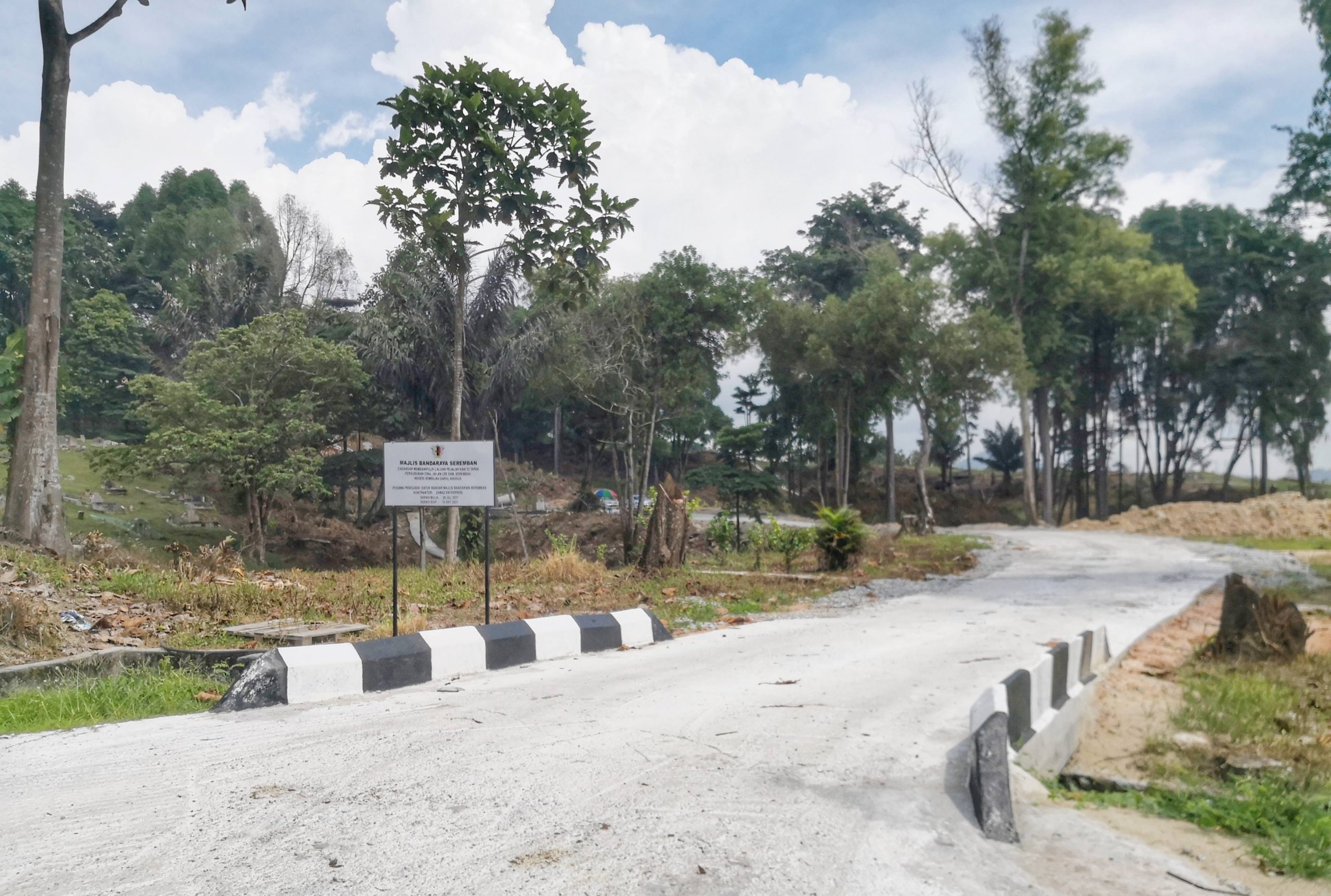 “一人一花2.0”启动 捐花美化李三路义山