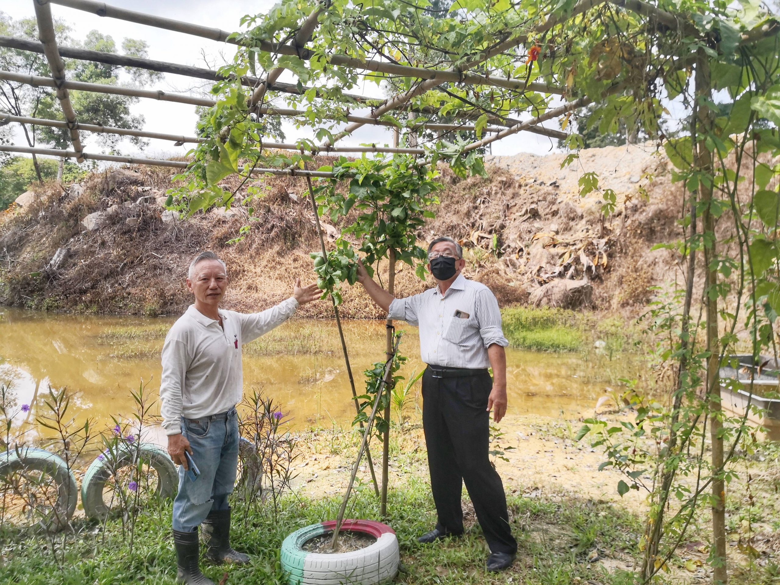 “一人一花2.0”启动 捐花美化李三路义山