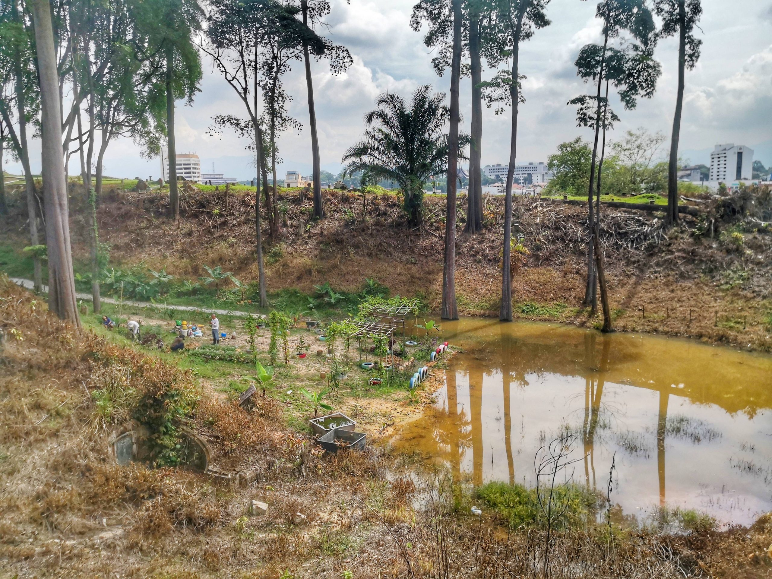 “一人一花2.0”启动 捐花美化李三路义山