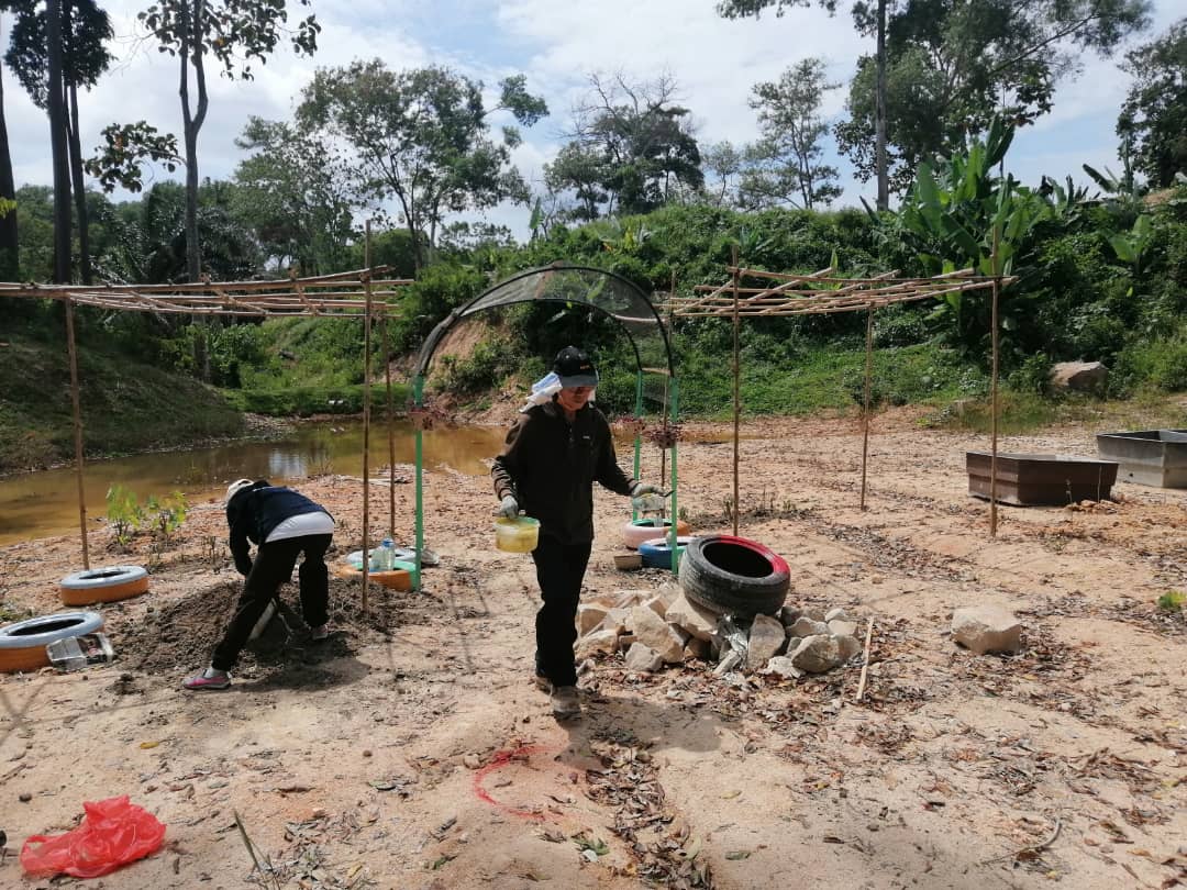 “一人一花2.0”启动 捐花美化李三路义山