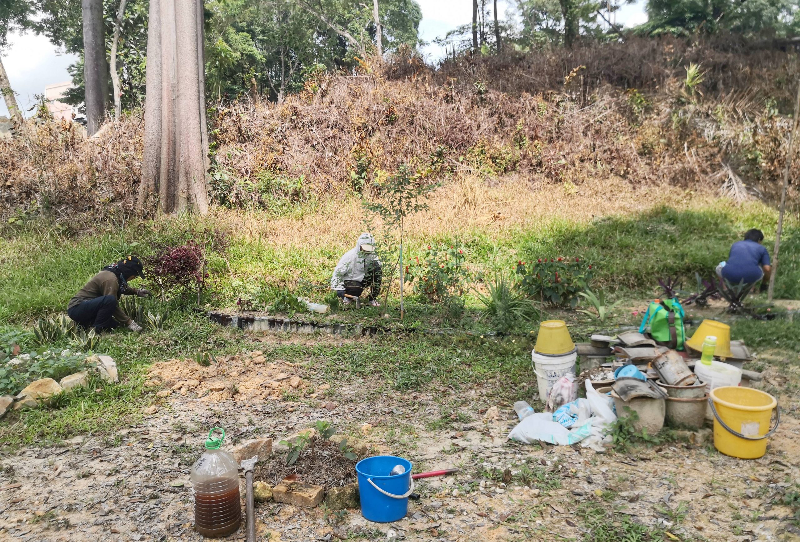 “一人一花2.0”启动 捐花美化李三路义山