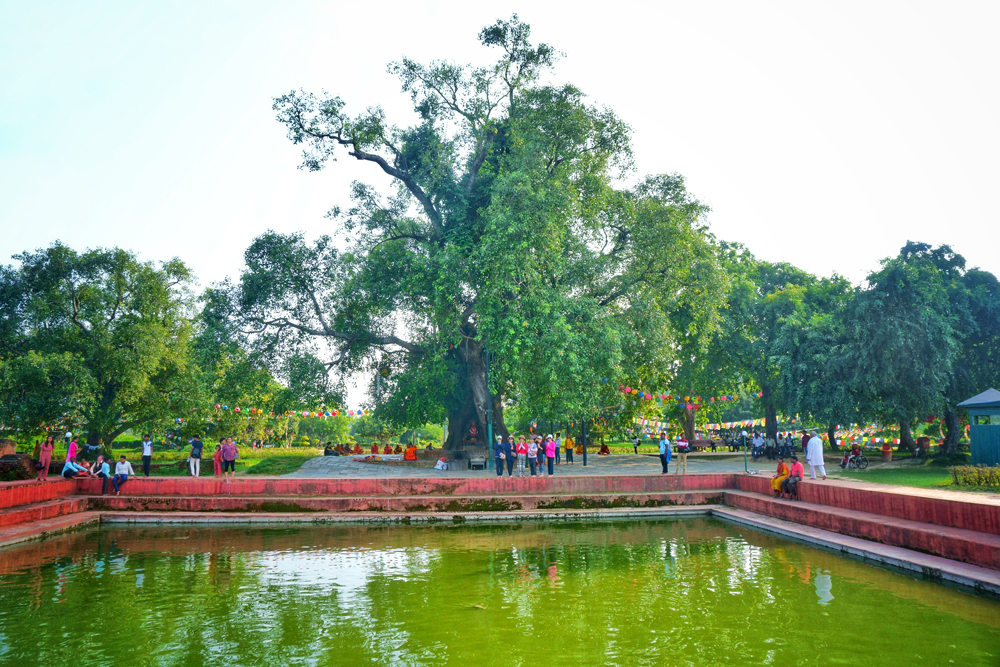 【尼泊尔】蓝毗尼──佛陀的故乡